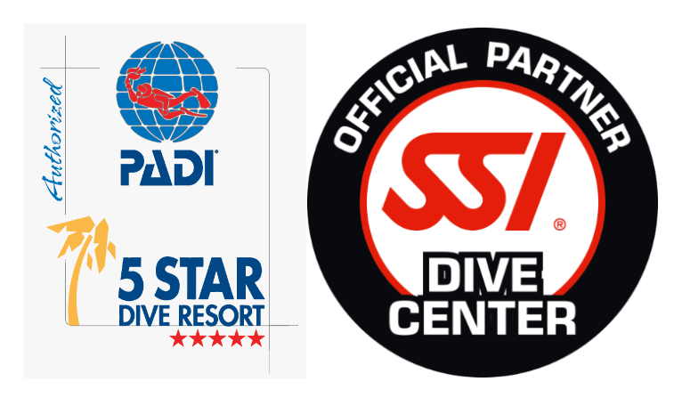 PADI 5 Star Instructor Development Dive Resort