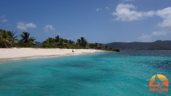 Two wonderful snorkeling trips!