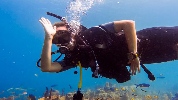 Deefer Diving Guided Dives Price List